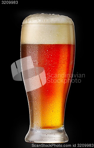 Image of glass of beer