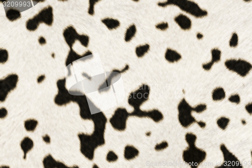 Image of Fur Animal Textures, Cow