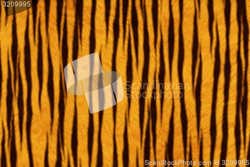 Image of Fur Animal Textures, Tiger