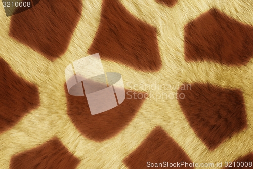 Image of Fur Animal Textures, Girafe