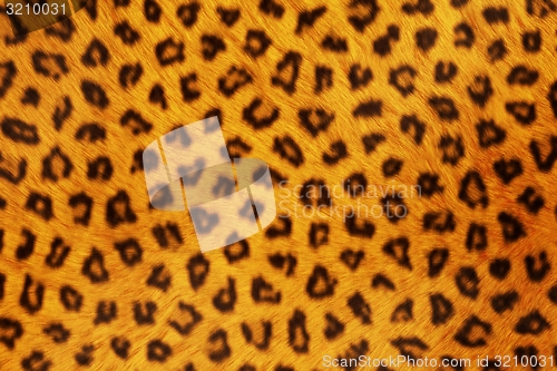 Image of Fur Animal Textures, Leopard