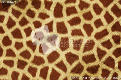 Image of Fur Animal Textures, Girafe