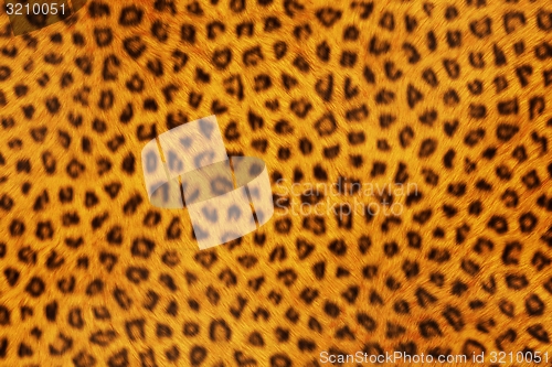 Image of Fur Animal Textures, Leopard