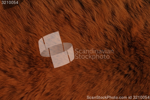 Image of Fur Animal Textures, Brown Bear