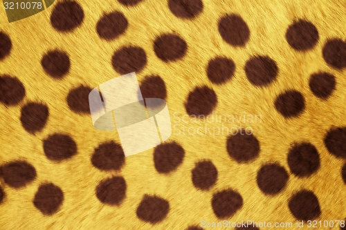 Image of Fur Animal Textures, Cheetah