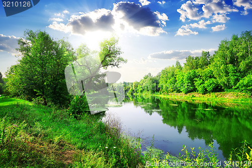Image of Green forest on river
