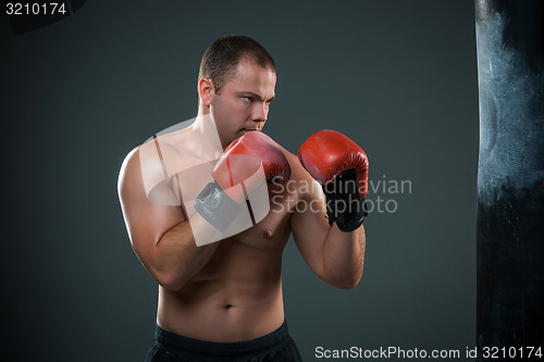 Image of Young Boxer boxing 