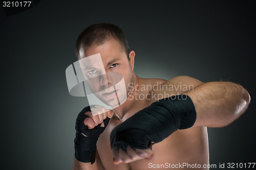 Image of Young Boxer boxing 