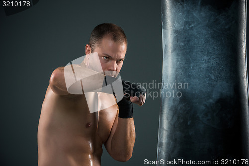 Image of Young Boxer boxing 