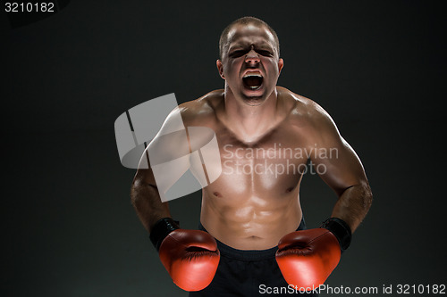 Image of Muscular man screaming and roar