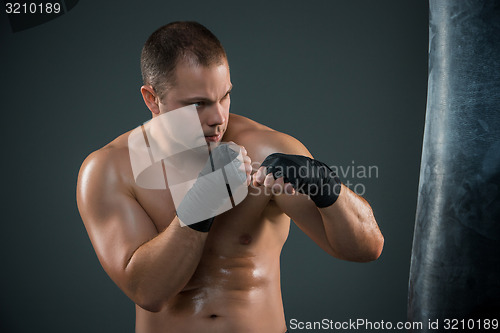 Image of Young Boxer boxing 