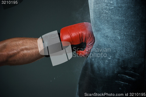 Image of Boxing training and Punching bag