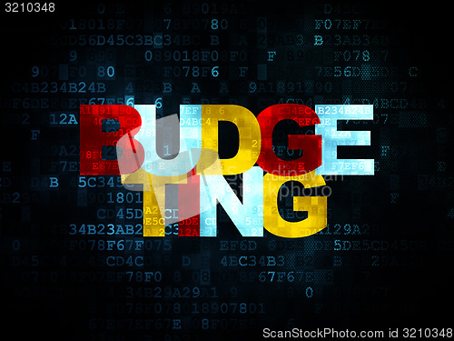 Image of Business concept: Budgeting on Digital background