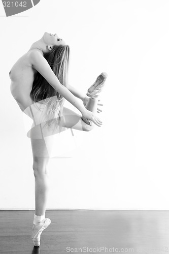 Image of Nude ballerina practicing 