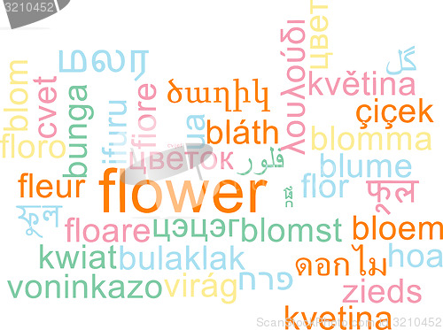 Image of Flower multilanguage wordcloud background concept