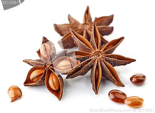 Image of Star anise spice and seeds