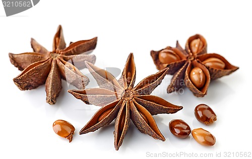 Image of Star anise spice and seeds