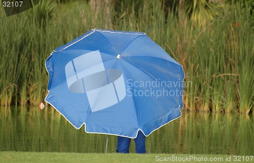 Image of Blue, shelter