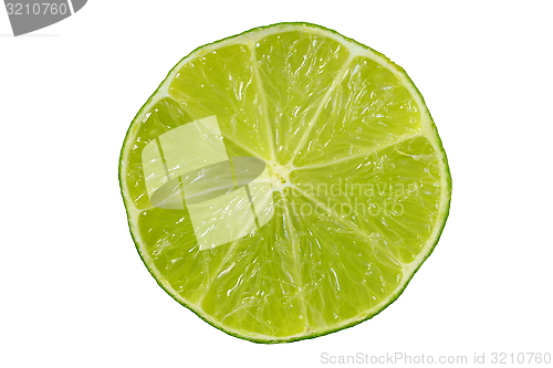 Image of Lime
