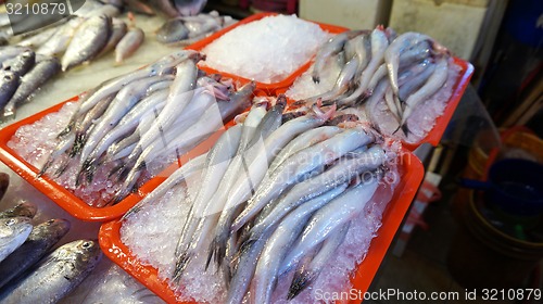 Image of Fresh fish in the orange box.