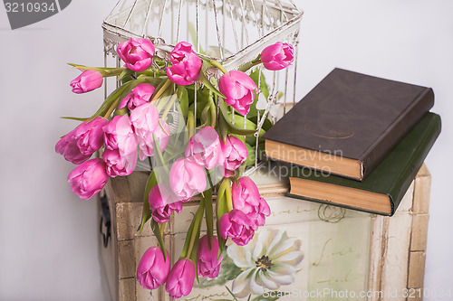 Image of Bouquet of pink tulips