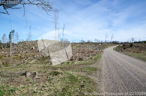 Image of Deforestation area