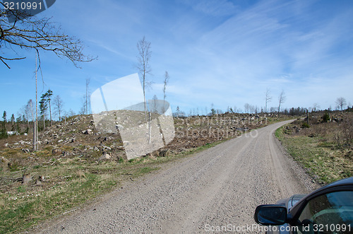 Image of Driving through a clear cut forest