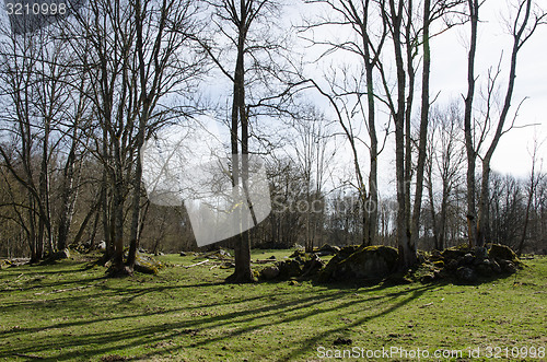 Image of Rocky pastureland