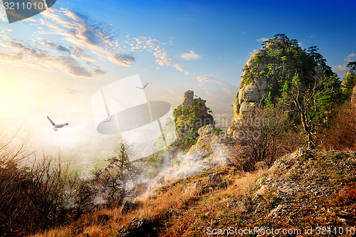 Image of Birds over cliffs