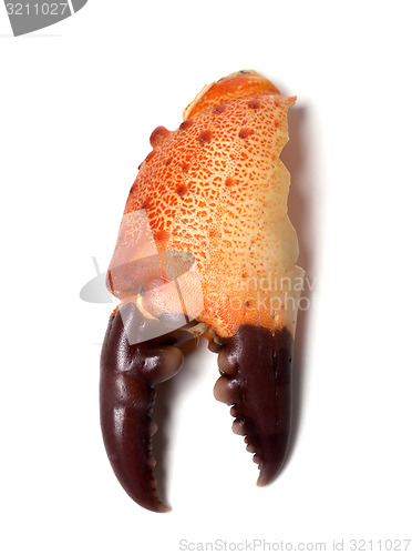 Image of Boiled claw crab