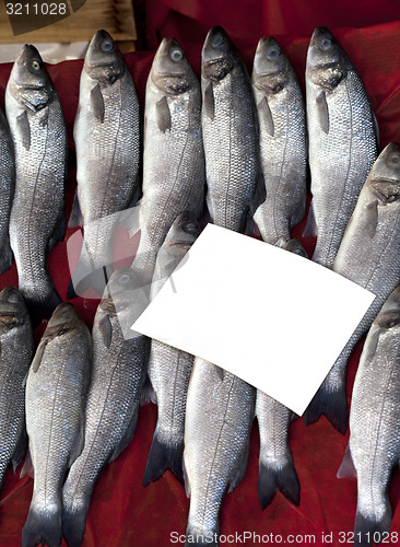 Image of Sea bass at fish market