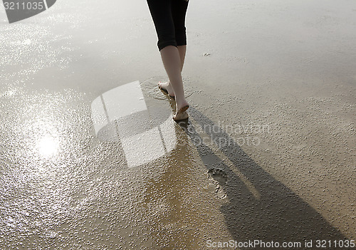 Image of Feet in the Wadden Sea