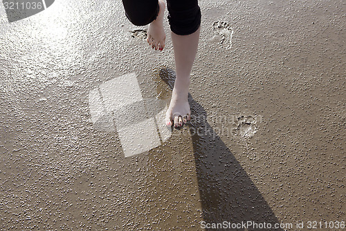 Image of Feet on the Wadden Sea Floor