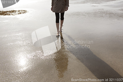 Image of Wadden Sea walk