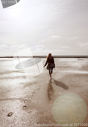 Image of walk in the Wadden Sea