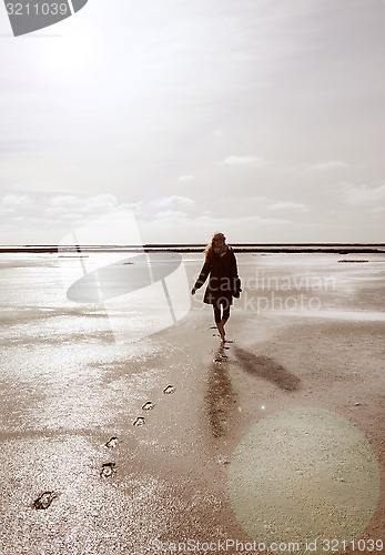 Image of walk in the Wadden Sea