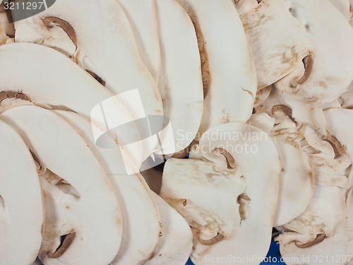 Image of Champignon mushroom background