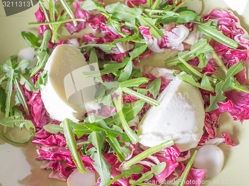 Image of Lettuce salad