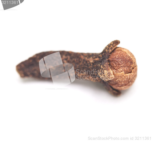 Image of clove