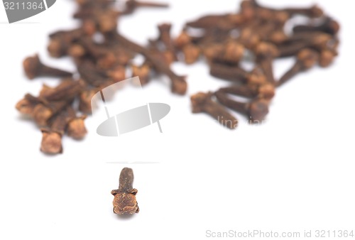 Image of cloves