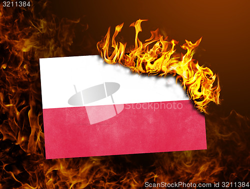 Image of Flag burning - Poland