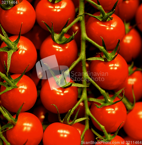 Image of Cherry Tomatoes Background