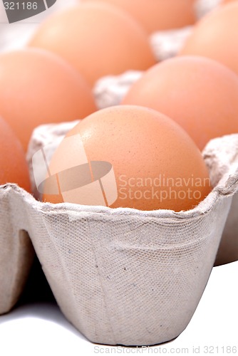 Image of Brown Egg