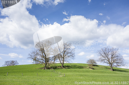 Image of trees and clouds