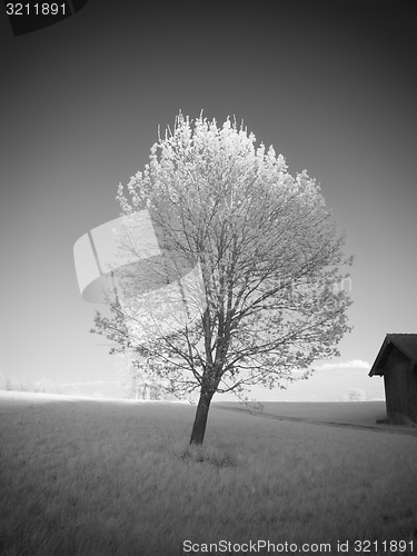 Image of infrared photography landscape