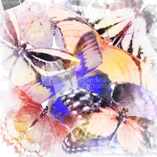 Image of Watercolor Butterfly Background