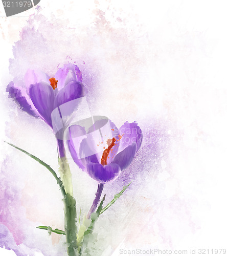 Image of Crocus Flowers Watercolor