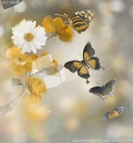 Image of Flowers And Butterflies Watercolor