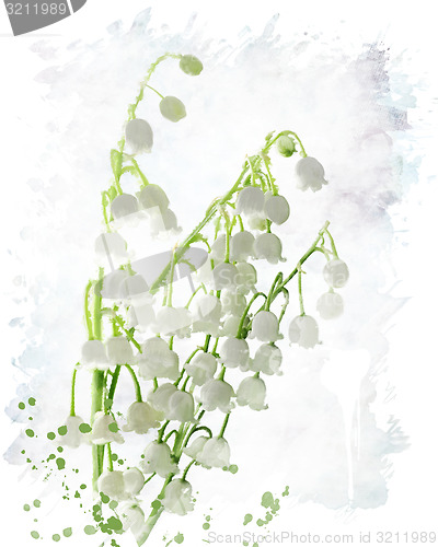 Image of Lily Of The Valley Watercolor