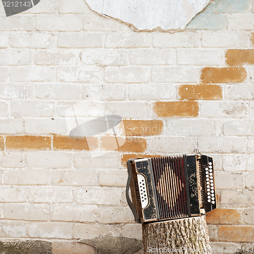 Image of accordion on the stump